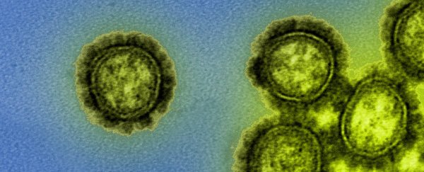 Two human flu virus strains may have gone extinct, reports indicate