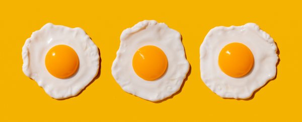 Do eggs help keep our hunger in check? Experts weigh in
