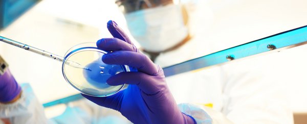 What do scientists actually do when they research 'dangerous' viruses in the lab?