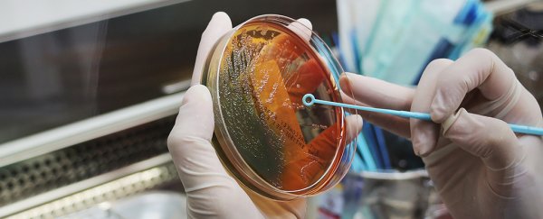 Cancer cells grown in the lab revealed as very different to those in humans