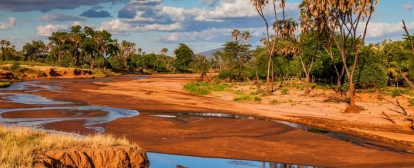 Over 50% of Earth's 'rivers' actually stand still or run dry every year