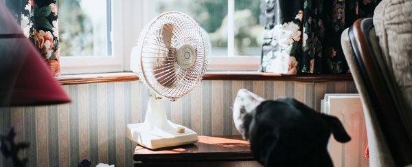Expensive air-con isn't the only way to survive heatwaves, according to science