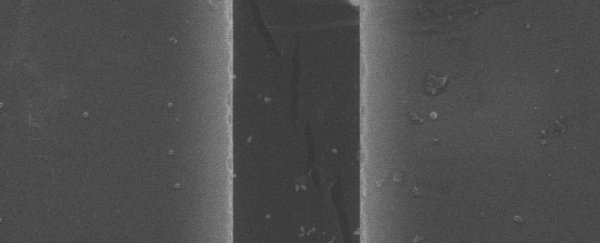 This 2D material is way tougher than graphene, and scientists are excited
