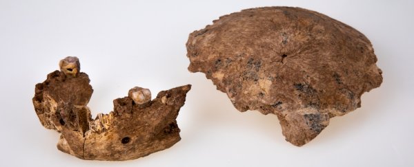A previously unknown type of ancient human has been discovered in the Levant