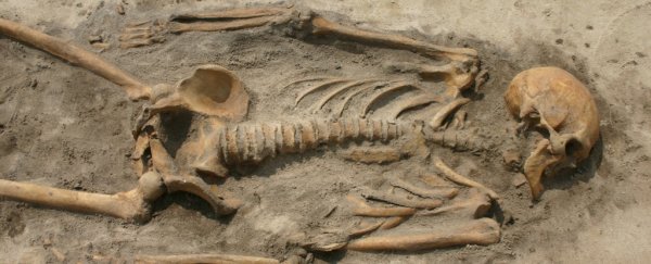 Two closely related Vikings died a world apart. Now their bones have been reunited