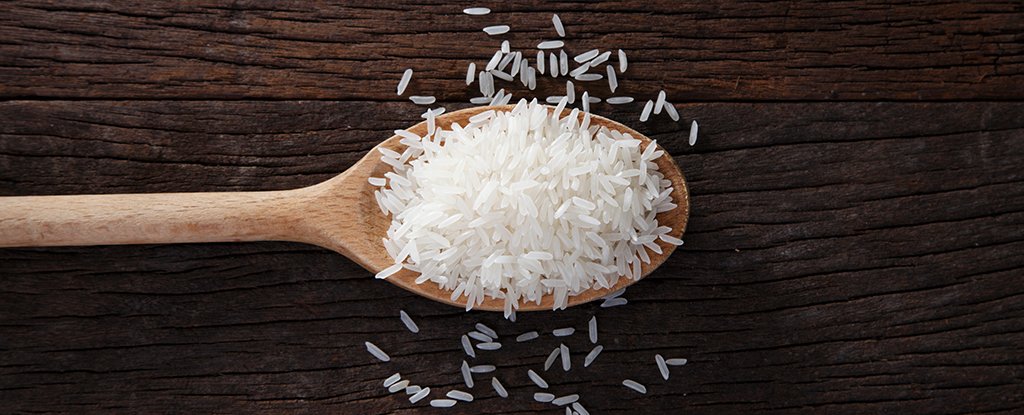An 'Edible' Cholera Vaccine Made From Ground Rice Just Passed Phase 1 Human Tria..