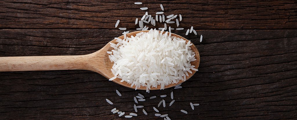 An 'Edible' Cholera Vaccine Made From Ground Rice Just Passed Phase 1 Human Trials