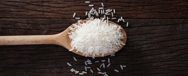 An 'edible' cholera vaccine made from ground rice just passed phase 1 human trials