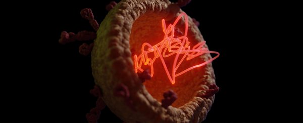 A scientist found deleted coronavirus sequences. Here's what that means for SARS-CoV-2