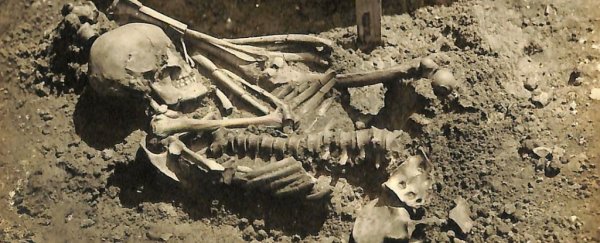 3,000-year-old bones reveal the oldest shark encounter victim ever discovered