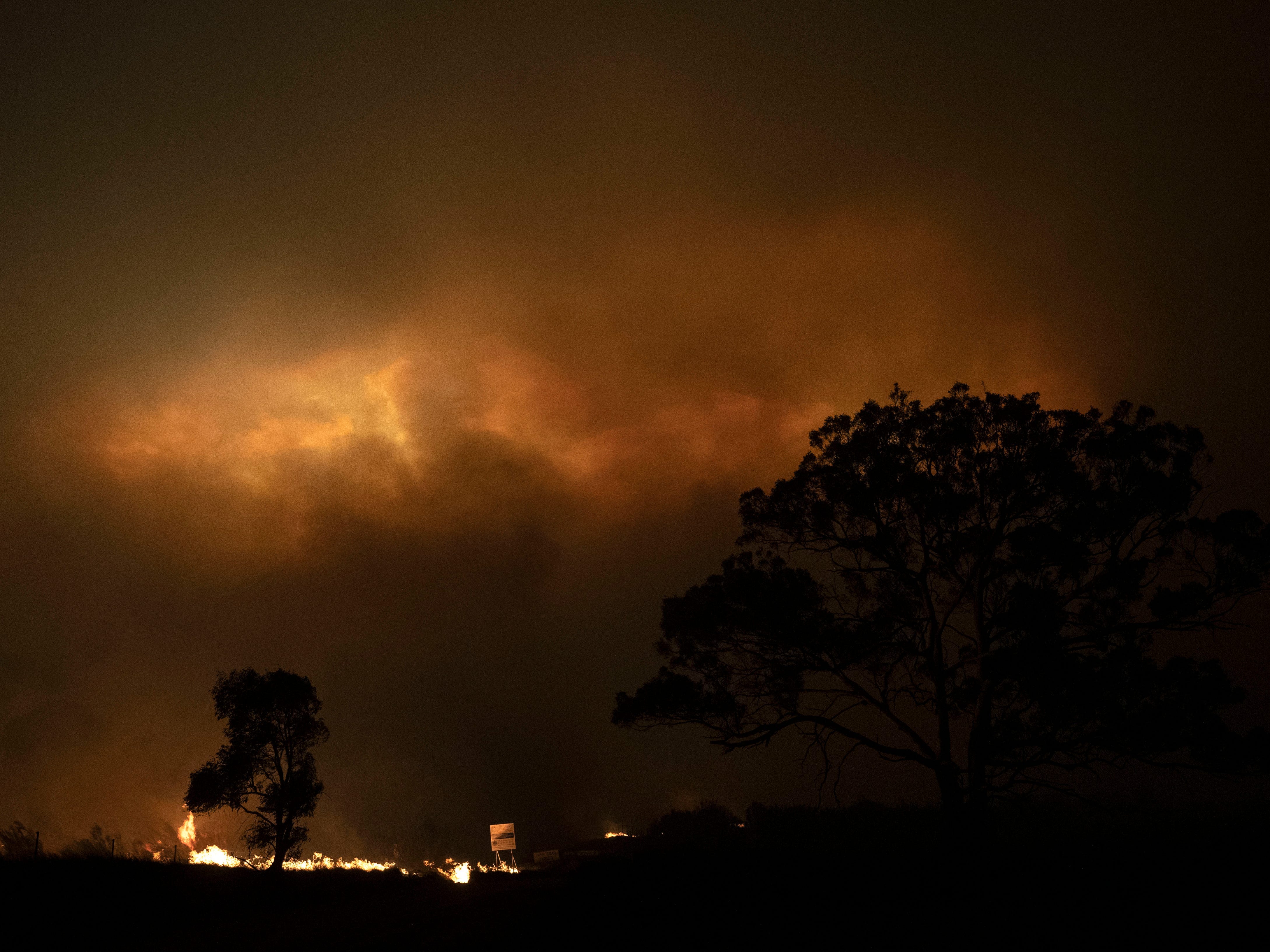 Pyrocumulonimbus cloud formed by bushfires in Australia, 1 February 2020. (Brook Mitchell/Getty)