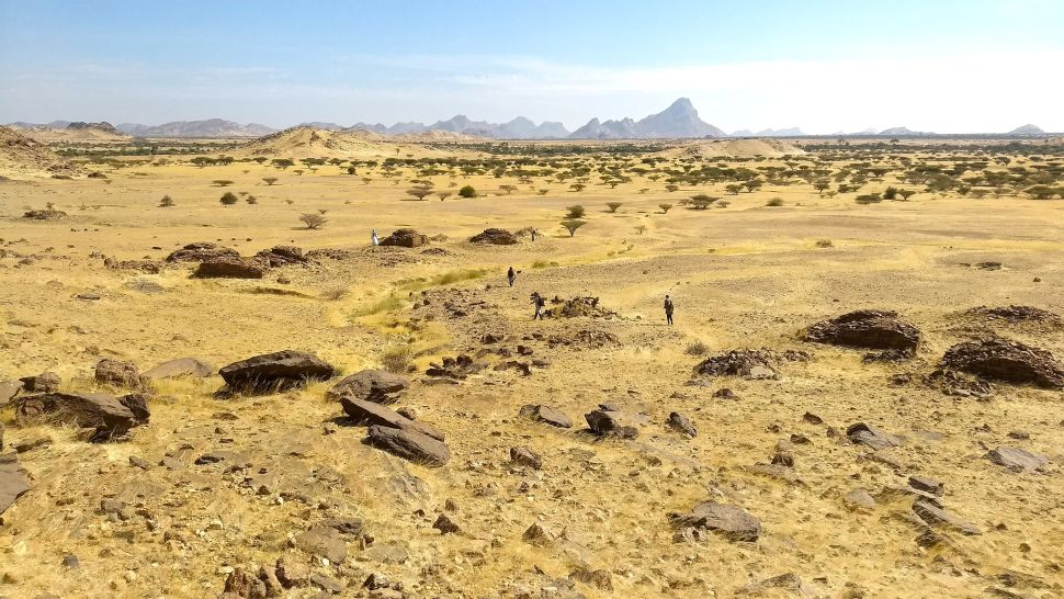 Vista del paesaggio delle tombe qubba, Jebel Maman. (Stefano Costanzo,CC-BY 4.0)