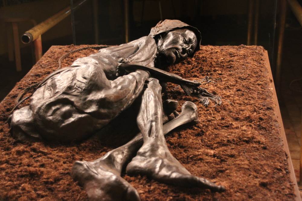 Tollund Man on display at Silkeborg Museum