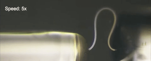 Scientists have created a new bendy and flexible form of ice