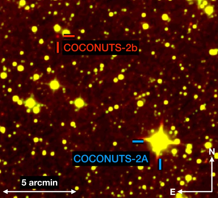 https://www.sciencealert.com/images/2021-07/coconuts-image.jpg