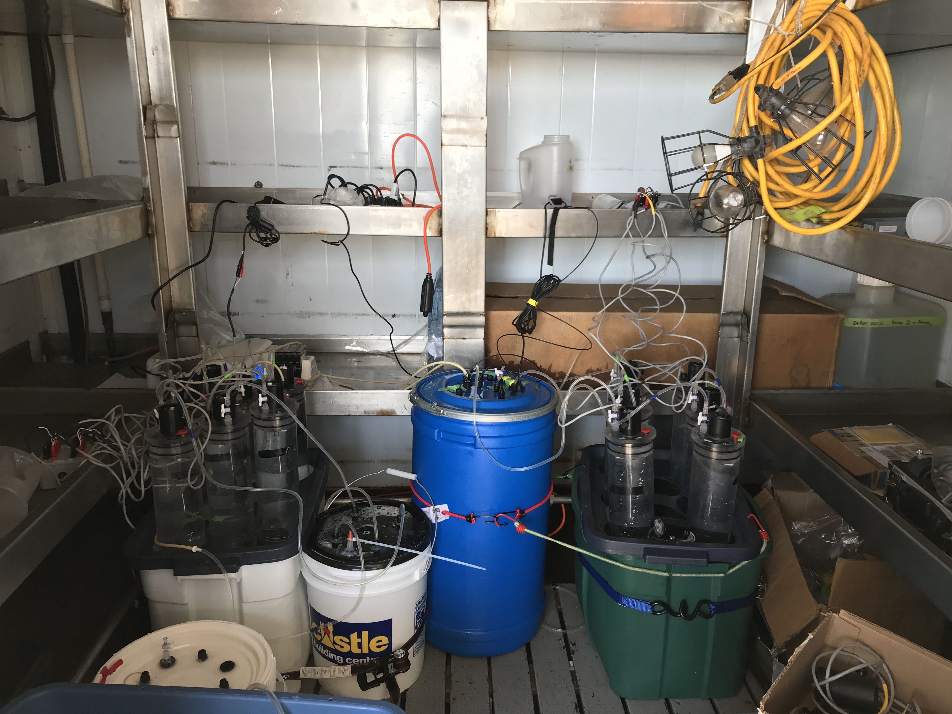 Sediment incubation experiments underway in cold room on board the Tully. (Brett Jameson)