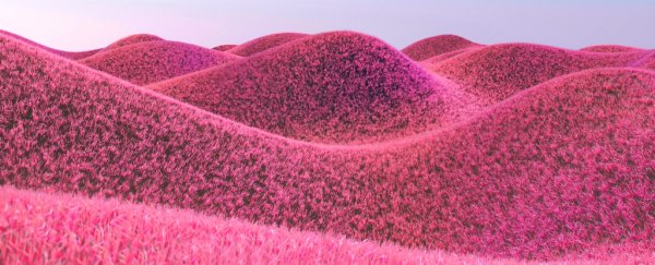 Scientists are giving AI the ability to imagine things it's never seen before