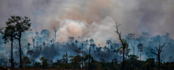 Huge part of Amazon rainforest has now 'flipped' to emitting more CO2 than it absorbs