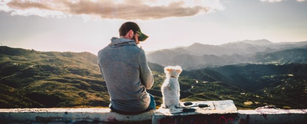 Dogs innately understand humans in ways that wolves can't, experiment shows