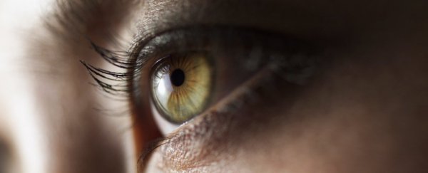 Something in patients' eyes could reveal the presence of 'long COVID', doctors say