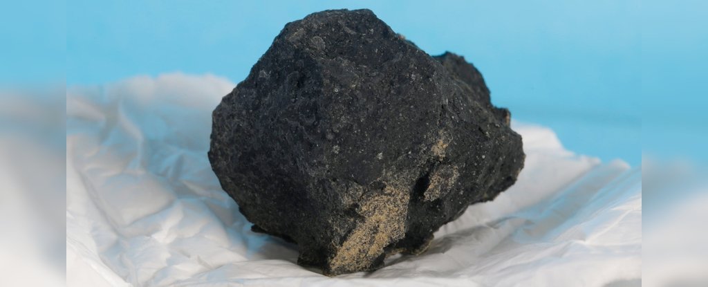 Lauke rasta uolėta dalis, kuri virsta senoviniu meteoritu, kurio amžius yra 4,6 milijardo metų