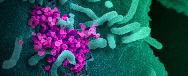 There's a new review of potential SARS-CoV-2 origins. Here's what experts think