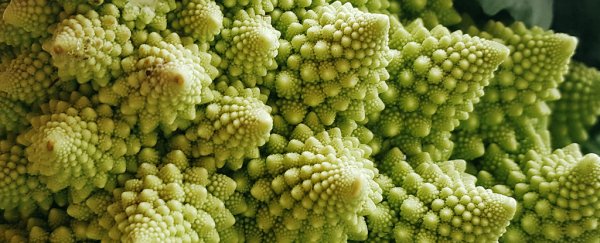 This math explains why cauliflowers look too oddly perfect