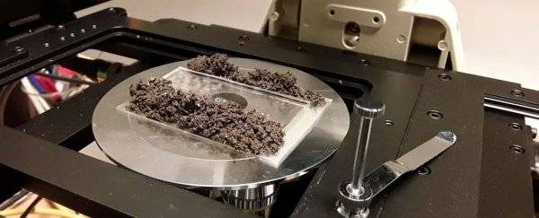 'Cyborg soil' unearths a complex web of hidden microbial cities