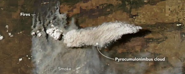 Canada's devastating wildfires are generating storms with 'fire-breathing' clouds