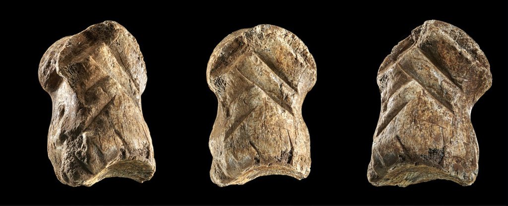 Beautiful Bone Carving From 51,000 Years Ago Is Changing Our View of Neanderthal..