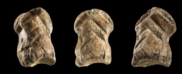Beautiful bone carving from 51,000 years ago is changing our view of Neanderthals