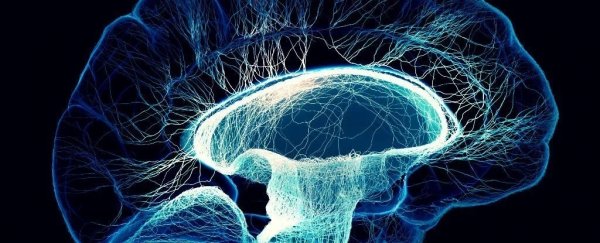 Is consciousness bound by quantum physics? We're getting closer to finding out