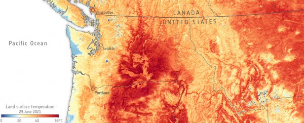 Deadly North American heatwave would be 'virtually impossible' without climate change