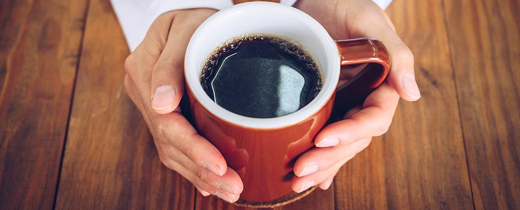 Drinking 6 Cups of Coffee a Day? Your Brain May Pay For It Later, Says a  Large Study