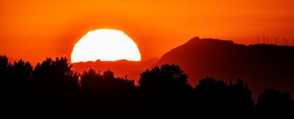 Heat Stress Is Going to Get Worse, Not Just For Us But For The Livestock We Depend On