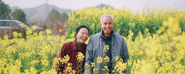 What's the secret to centenarians' long lives? The answer might be in their guts