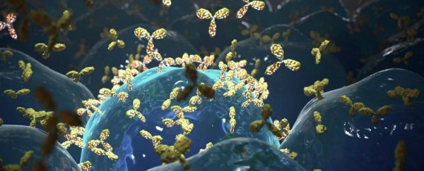 Fibromyalgia could actually be an autoimmune disorder, mouse study suggests