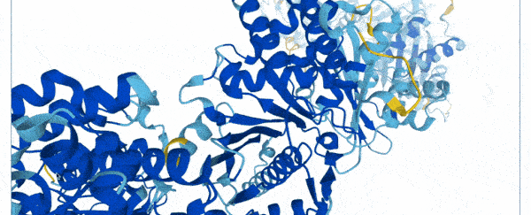 This new database of over 350,000 proteins will change the research of life itself