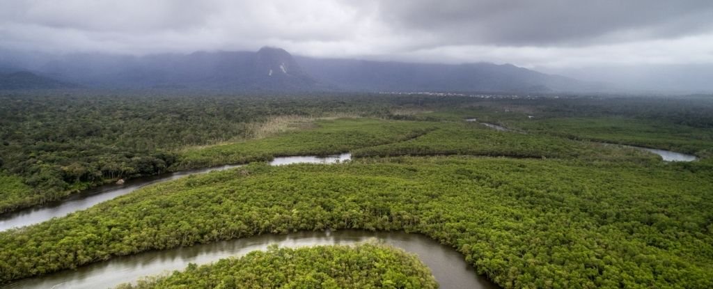 Even if deforestation is completely halted, research has found a global rise in carbon dioxide could still jeopardize the climate above the world's la