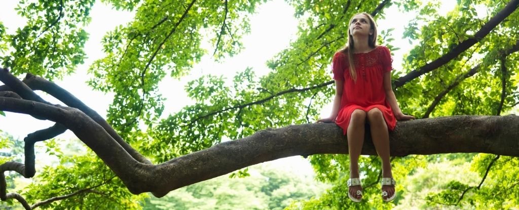 As a child grows and develops, the neurons in their brain are said to branch like trees. Being around this very type of foliage could actually help th