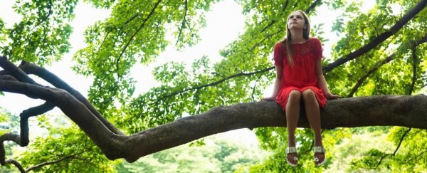 New research finds time spent among trees might help kids' brains grow and develop