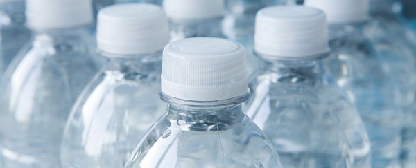 Here's Exactly How Much Drinking Bottled Water Impacts The Environment and Our Health