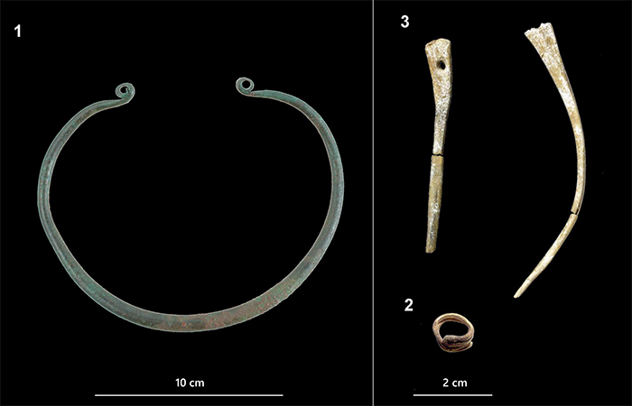 neck ring and two bone pins found in Vatya urn