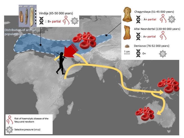 010 neanderthals 1