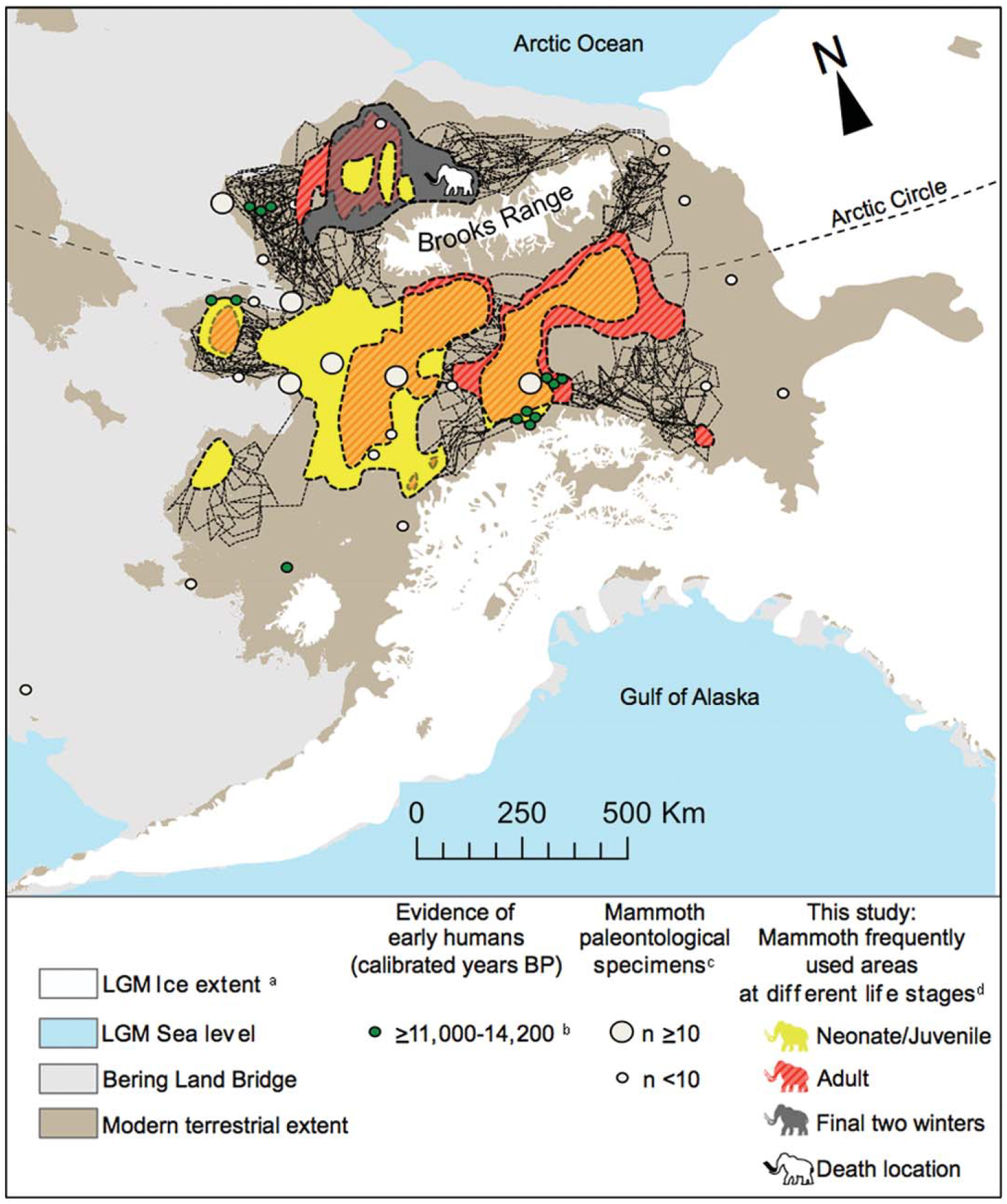 The modelled range of the wooly mammoth based on isotope data. (Wooller et al, Science 2021)