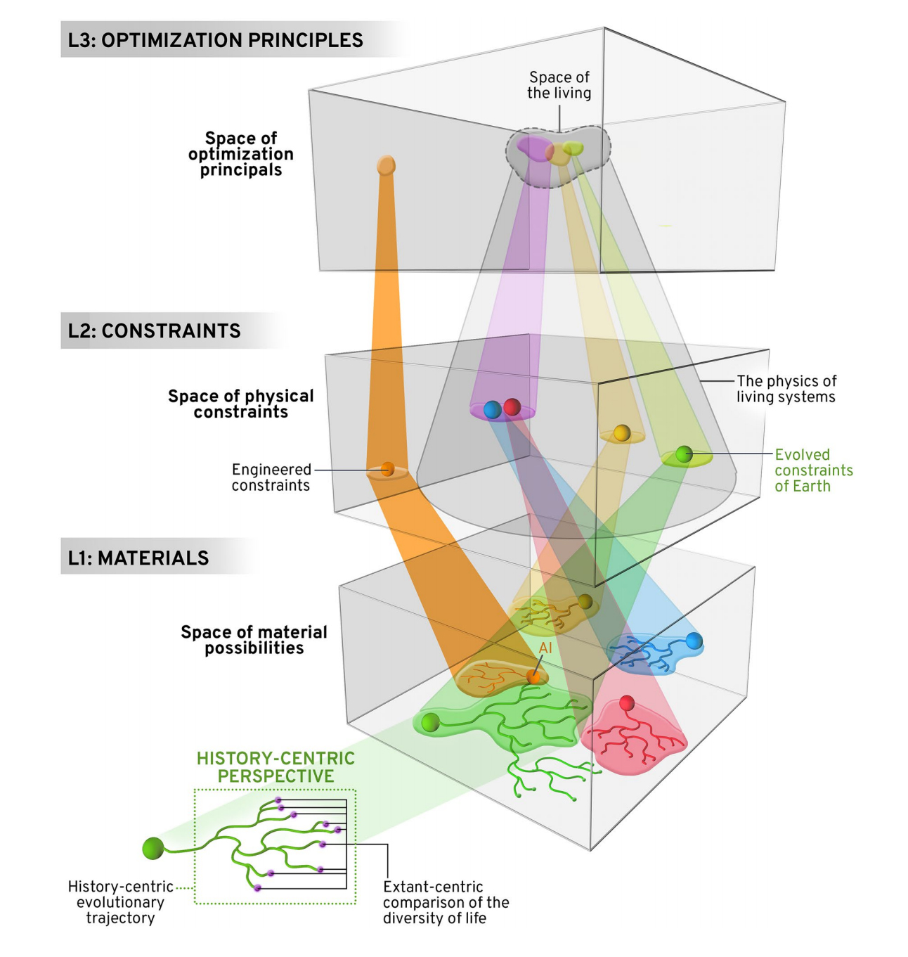 (Kempes & Krakauer, J. Mol. Evol. 2021)