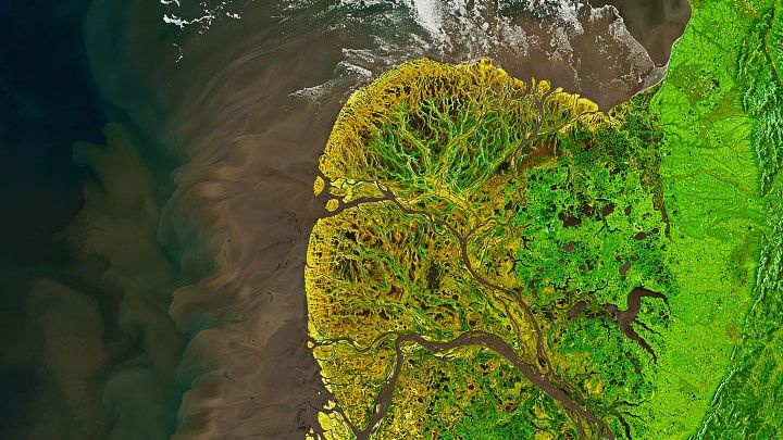 O Delta Yukon-Kuskokwim.  (Joshua Stevens / NASA Earth Observatory)