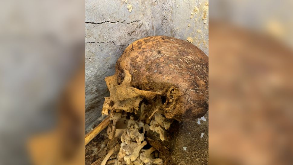 Though the body is nearly 2,000 years old, close-cropped hair and an ear are still visible on the skull.  (Courtesy Archaeological Park of Pompeii/University of Valencia)