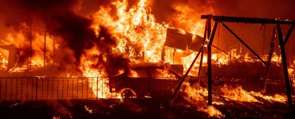 'A Chronic Lack of Fire': The Paradox Fueling Megafires in the US