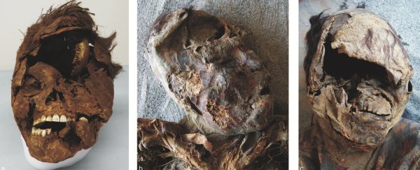 Brutal wounds of the dead speak of ancient violence in Earth's driest desert